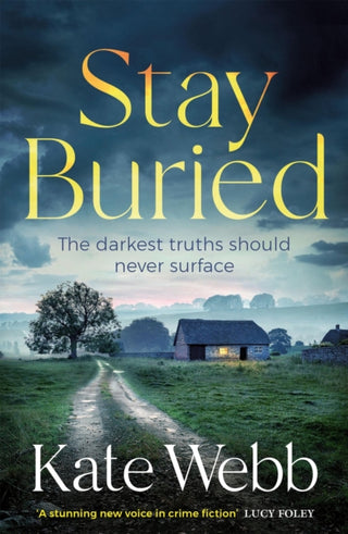 Cover image for 9781529421279 - Stay Buried