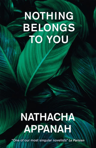 Supplemental image for 9781529422832 - Nothing Belongs to You