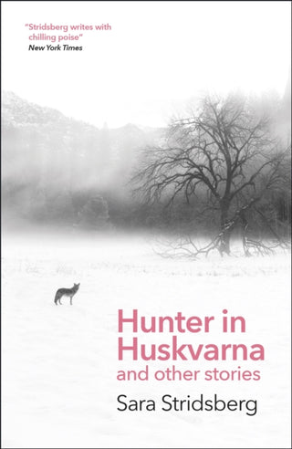 Cover image for 9781529423266 - Hunter in Huskvarna