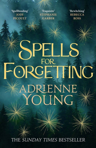 Cover image for 9781529425345 - Spells for Forgetting