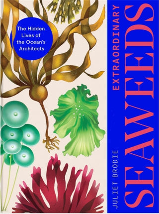 Cover image for 9781529427431 - Extraordinary Seaweeds
