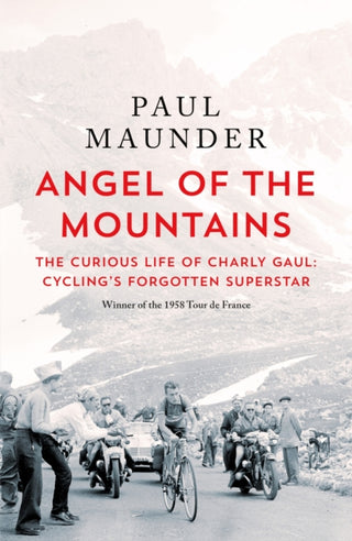 Cover image for 9781529429596 - Angel of the Mountains
