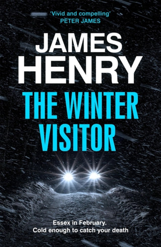 Cover image for 9781529431735 - The Winter Visitor