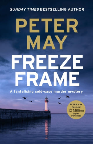 Cover image for 9781529434750 - Freeze Frame