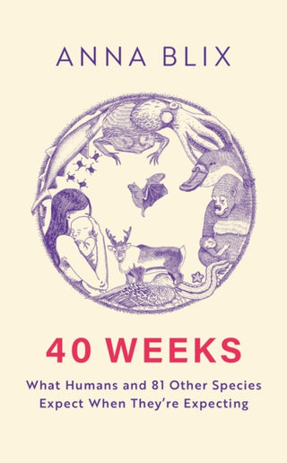 Cover image for 9781529434804 - 40 Weeks