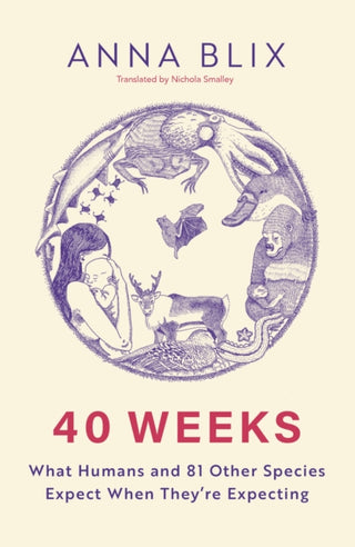 Cover image for 9781529434828 - 40 Weeks