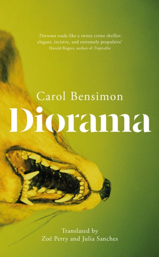 Cover image for 9781529438451 - Diorama
