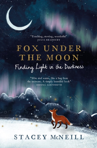 Cover image for 9781529452310 - Fox Under the Moon 2