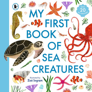 Cover image for 9781529504088 - My First Book of Sea Creatures