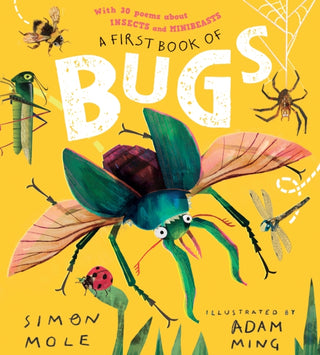 Cover image for 9781529507546 - A First Book of Bugs: with 30 poems about insects and minibeasts