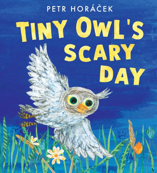 Cover image for 9781529509274 - Tiny Owl's Scary Day