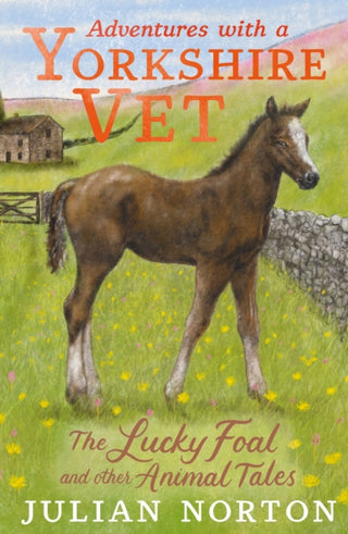 Supplemental image for 9781529509922 - Adventures with a Yorkshire Vet: The Lucky Foal and Other Animal Tales