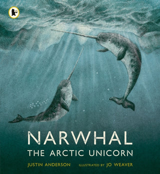 Cover image for 9781529513912 - Narwhal: The Arctic Unicorn