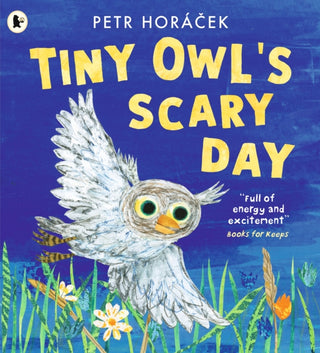 Cover image for 9781529517194 - Tiny Owl's Scary Day