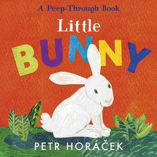 Cover image for 9781529517354 - Little Bunny