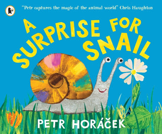 Cover image for 9781529525502 - A Surprise for Snail