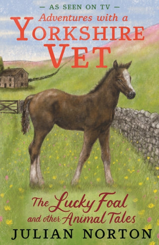 Supplemental image for 9781529525601 - Adventures with a Yorkshire Vet: The Lucky Foal and Other Animal Tales
