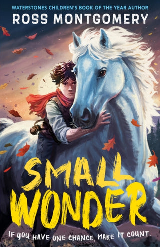 Cover image for 9781529526127 - Small Wonder
