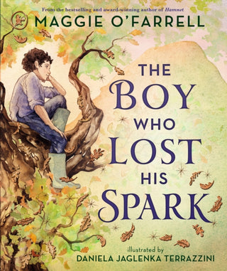 Supplemental image for 9781529529784 - The Boy Who Lost His Spark