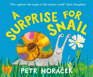 Cover image for 9781529531831 - A Surprise for Snail
