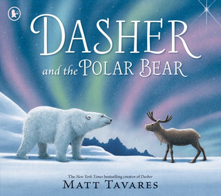 Cover image for 9781529532265 - Dasher and the Polar Bear