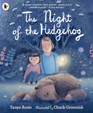 Cover image for 9781529532739 - The Night of the Hedgehog