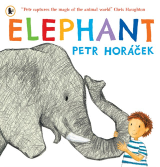 Cover image for 9781529538854 - Elephant