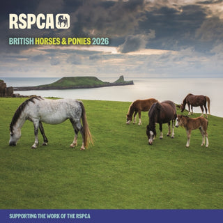 Cover image for 9781529828658 - Rspca British Horses Ponies Square Wall