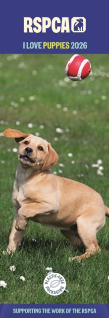 Cover image for 9781529828672 - Rspca I Love Puppies Slim Calendar 2026