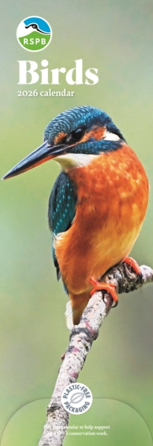 Cover image for 9781529828719 - Rspb Birds Slim Calendar 2026