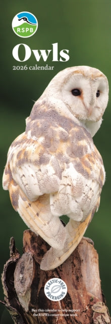Cover image for 9781529829426 - Rspb Owls Slim Calendar 2026
