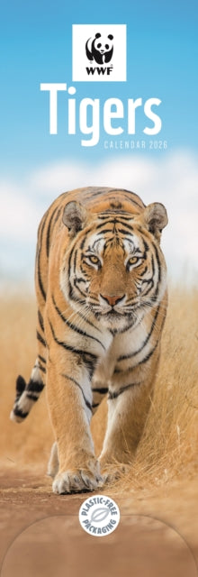 Cover image for 9781529829921 - Wwf Tigers Slim Calendar 2026