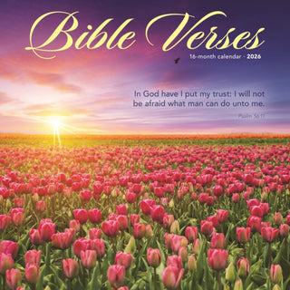 Cover image for 9781529830033 - Bible Verses Square Wall Sunday Start Ca