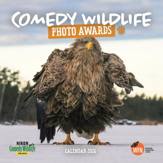 Cover image for 9781529841138 - Comedy Wildlife Photography Awards Squar