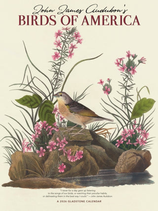 Cover image for 9781529847277 - Audubons Birds Of America Deluxe Wall Su