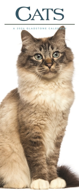 Cover image for 9781529847307 - Cats Deluxe Slim Sunday Start Calendar 2