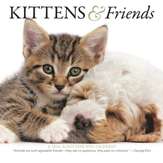 Cover image for 9781529847482 - Kittens Friends Square Mini Sunday Start