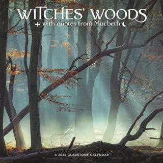Cover image for 9781529847611 - Witches Woods Square Wall Sunday Start C
