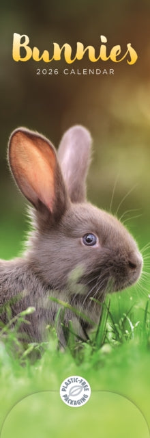 Cover image for 9781529847635 - Bunnies Slim Calendar 2026