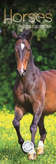 Cover image for 9781529847697 - Horses Slim Calendar 2026