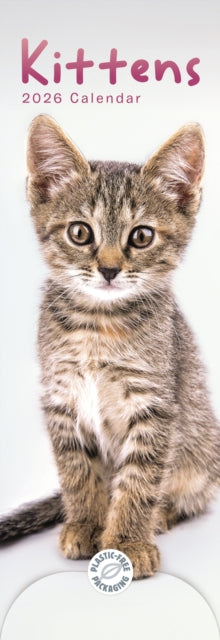 Cover image for 9781529847710 - Kittens Slim Calendar 2026