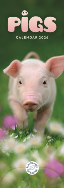 Cover image for 9781529847741 - Pigs Slim Calendar 2026