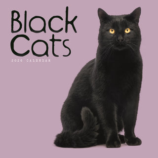 Cover image for 9781529847789 - Black Cats Square Wall Calendar 2026