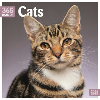 Cover image for 9781529847796 - Cats 365 Days Square Wall Calendar 2026