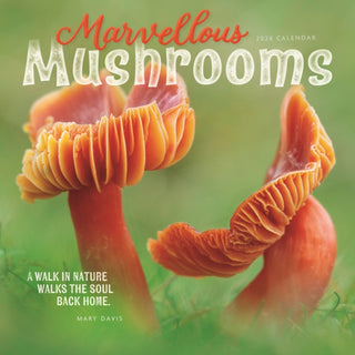 Cover image for 9781529848076 - Marvellous Mushrooms Square Wall Calenda