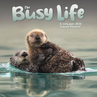 Cover image for 9781529848205 - Busy Life Planner Wall Calendar 2026