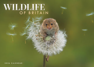 Cover image for 9781529848359 - Wildlife Of Britain A4 Calendar 2026