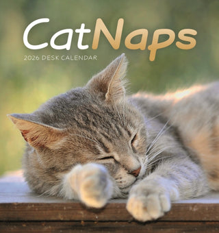 Cover image for 9781529848670 - Cat Naps Easel Desk Calendar 2026