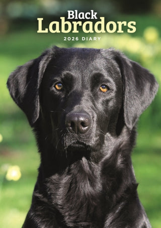 Cover image for 9781529848748 - Labrador Retrievers Black A5 Diary 2026
