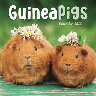 Cover image for 9781529848854 - Guinea Pigs Square Mini Calendar 2026